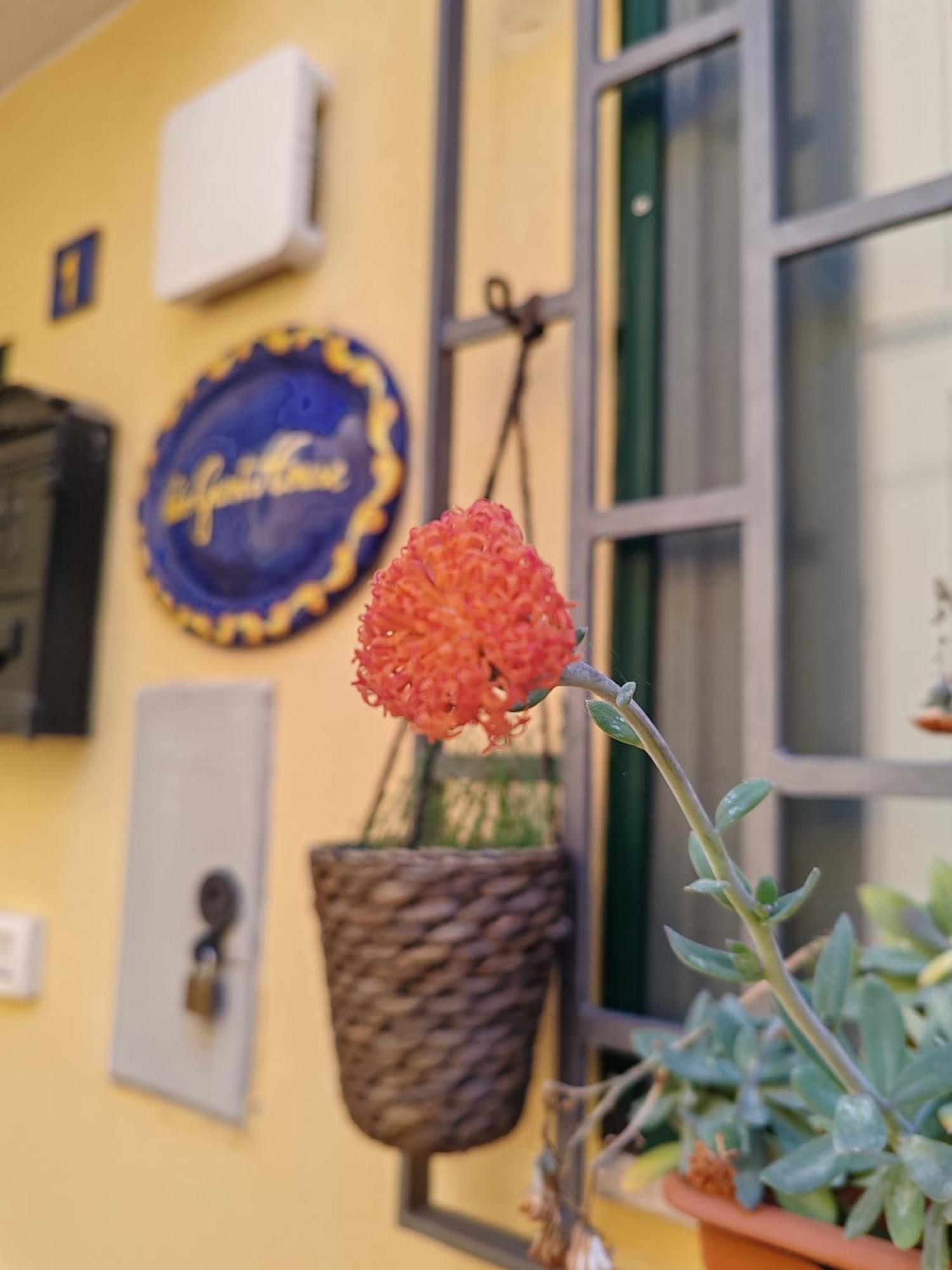 Smart House Ingresso Indipendente- Amalfi Coast Leilighet Salerno Eksteriør bilde
